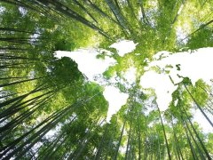 全国低碳日 | 让低碳节能成为我们共同的选择！