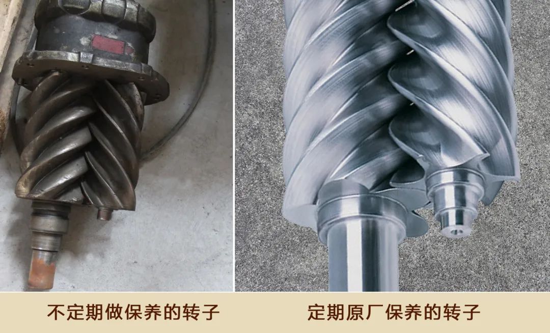 虎气满满，强大动力，开年保养很有必要！
