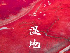 世界环境日 | 用数据驱动节能降耗，建设人与自然和谐共生！