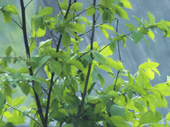 梅雨季必备之空压机、空压站的防雨防潮攻略