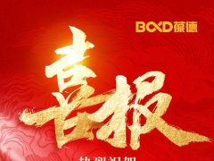 国货高光，捷报频传！葆德连续中标央企名企大单！