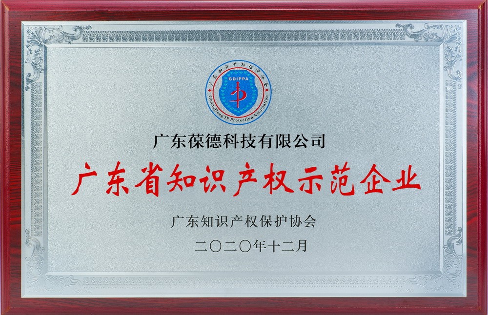 广东省知识产权示范企业